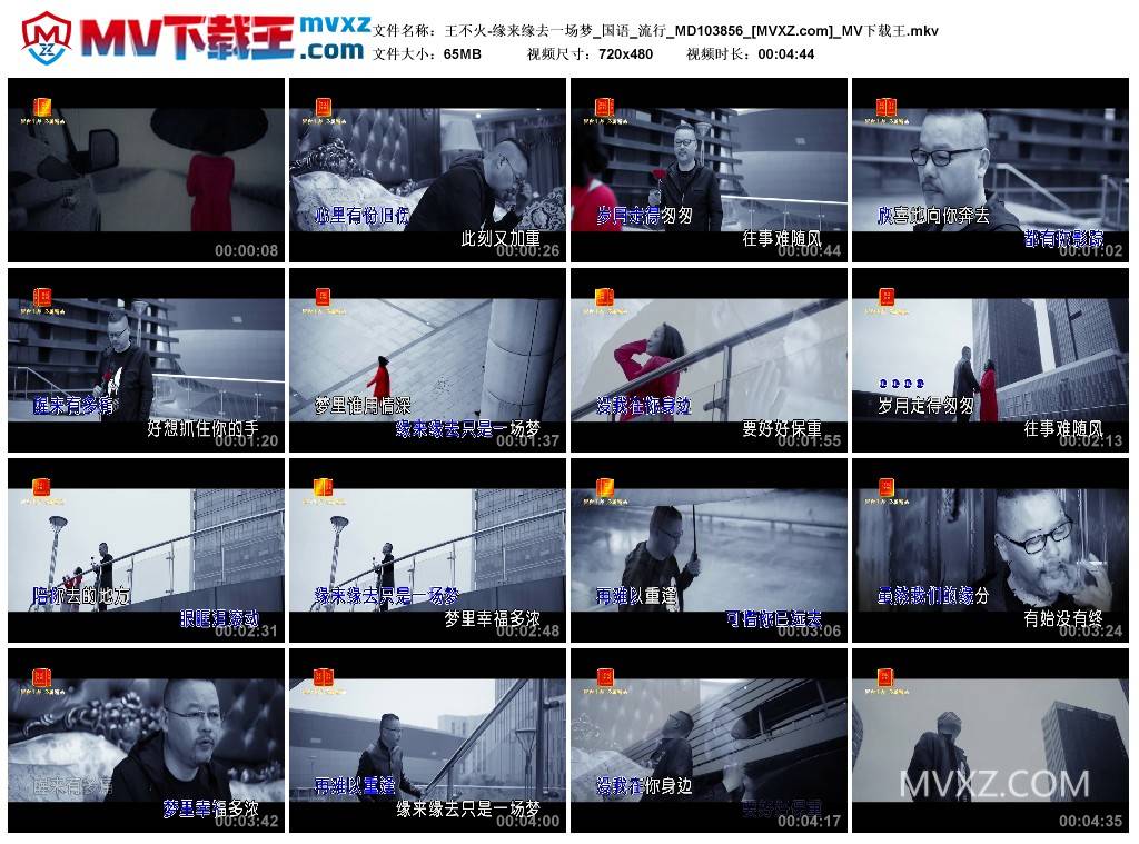 王不火-缘来缘去一场梦_国语_流行_MD103856